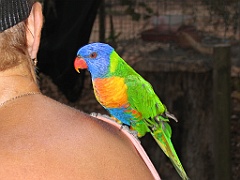 CairnsTC157 Granite Gorge